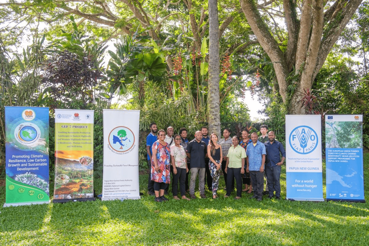 Capacity-Building Workshop in Papua New Guinea Enhances Communication