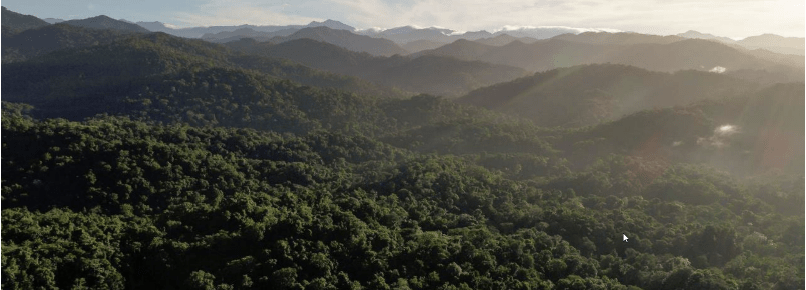 Papua New Guinea’s REDD+ and GCF RBP